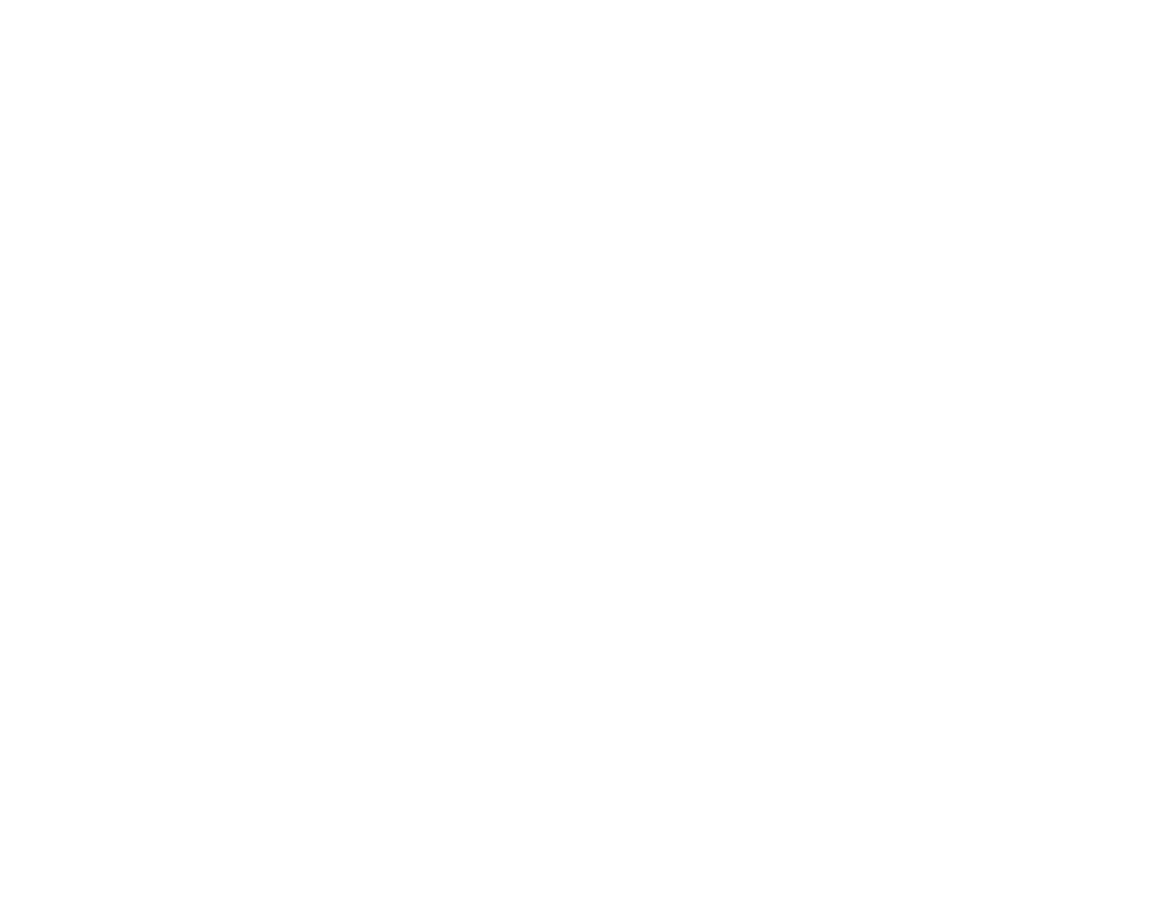 logo alex photographe fond neutre blanc
